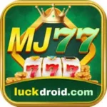 mj77-game